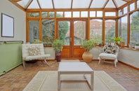 free Wagbeach conservatory quotes